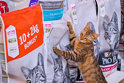 Currently, Purina in No. 1 in dry dog and cat food
